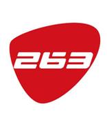 263新官网全新改版上线