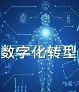 工信部：将出台相关产业数字化转型政策