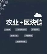 推动区块链在农业农村领域更大范围应用