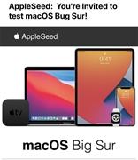苹果邀请邮件搞乌龙：macOS Big Sur 变 Bug Sur