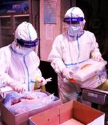 北京市用区块链等技术 对进口冷链食品追溯管理