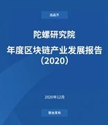陀螺年度巨献｜2020年度区块链产业发展报告
