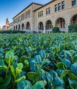 因传输漏洞，斯坦福大学等名校遭遇邮件泄露