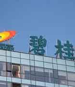 碧桂园2.22元每股卖飞长鑫科技 痛失470亿